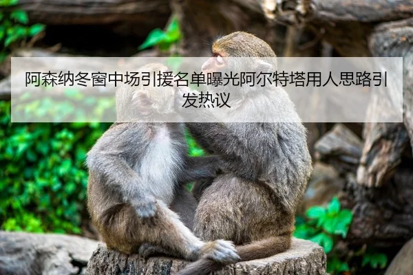 阿森纳冬窗中场引援名单曝光阿尔特塔用人思路引发热议